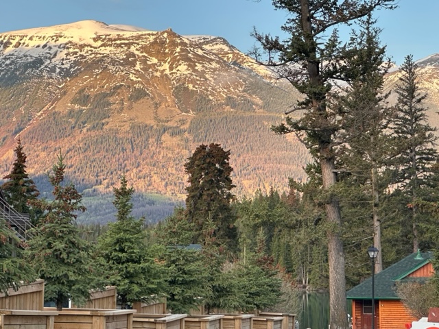 A view of the mountains from a cabin in a wooded area.